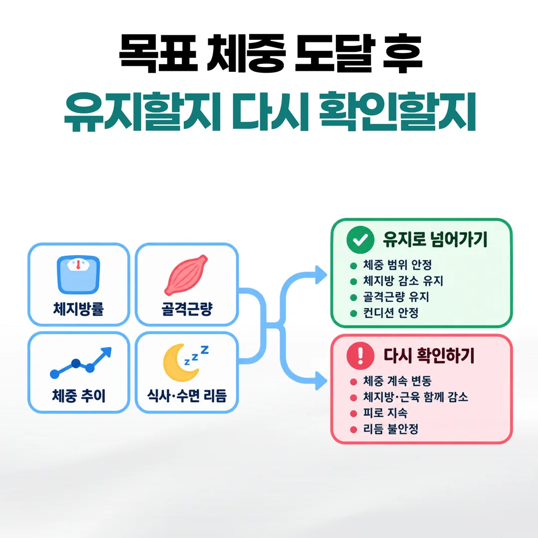 체지방률·골격근량·체중 추이·식사와 수면 리듬으로 유지 전환과 재확인을 가르는 개념도