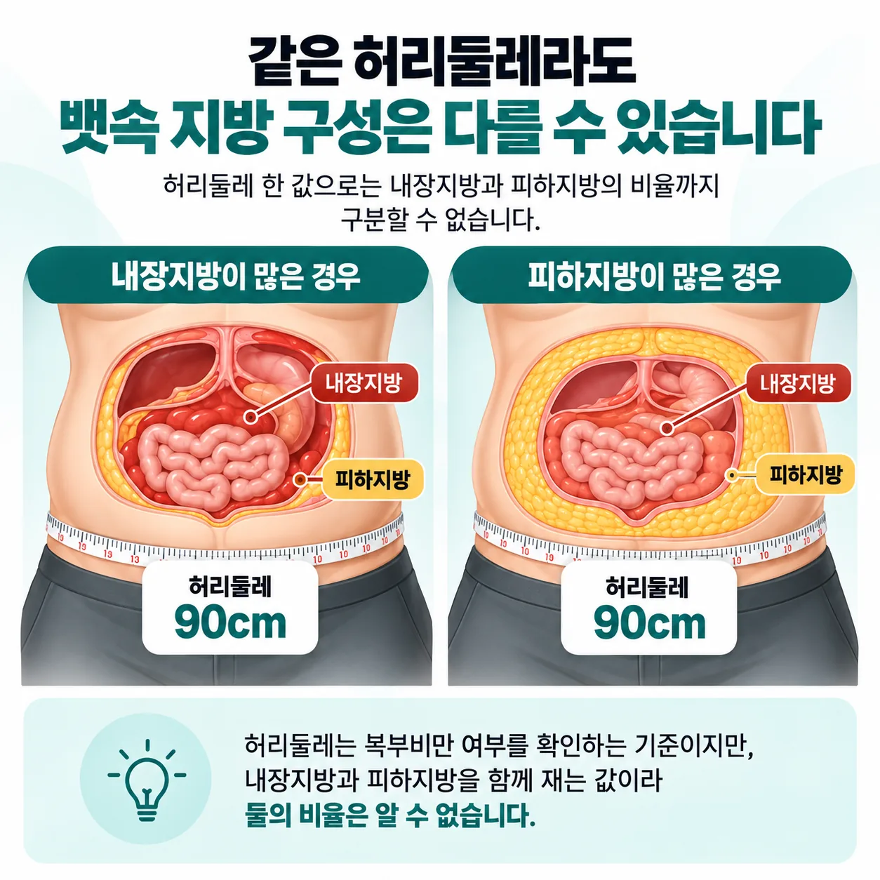 허리둘레는 같아도 내장지방과 피하지방의 비율이 다를 수 있다는 것을 나타낸 복부 단면 개념도