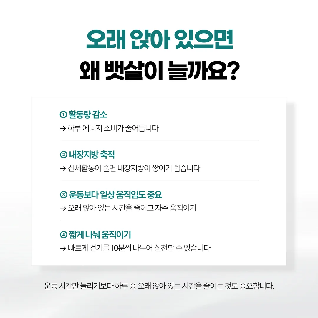 하루 에너지 소모에서 기초대사량과 활동량이 차지하는 비율, 그리고 앉아 있는 시간의 크기를 나타낸 도표